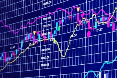 Công ty cổ phần Hóa chất dính án phạt do báo cáo không đúng thời hạn